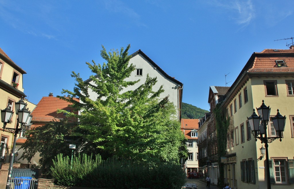 Foto: Centro histórico - Heidelberg (Baden-Württemberg), Alemania