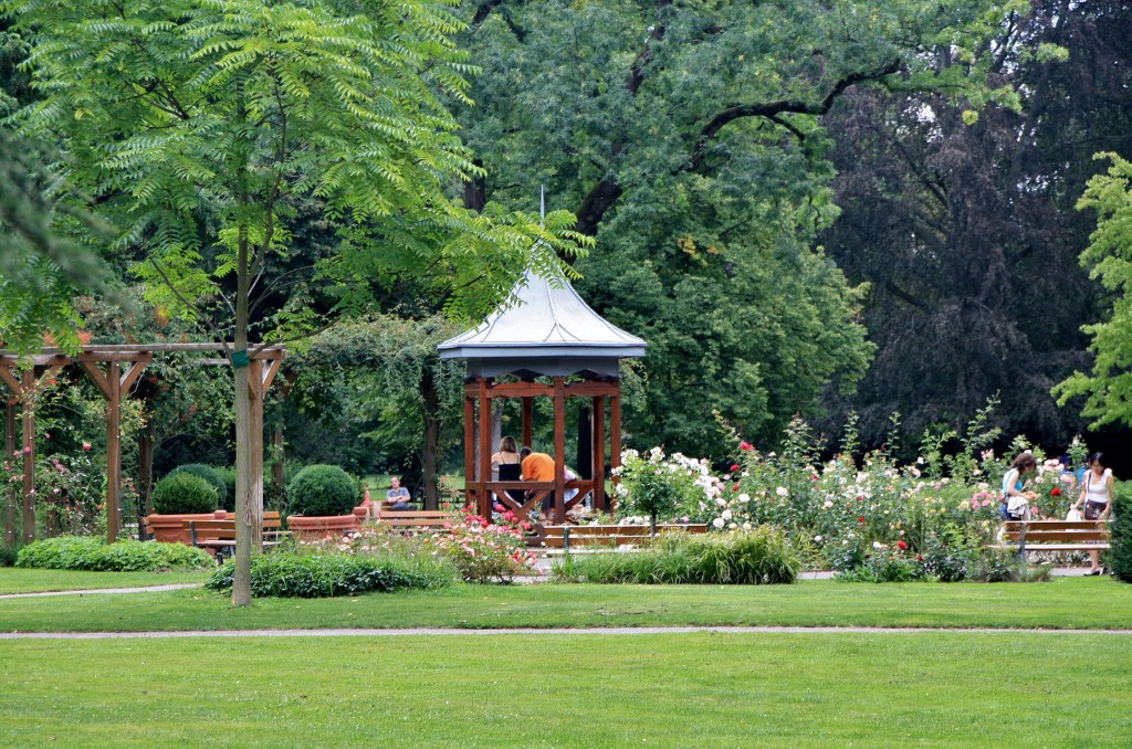 Foto: Parque - Estrasburgo (Strasbourg) (Alsace), Francia