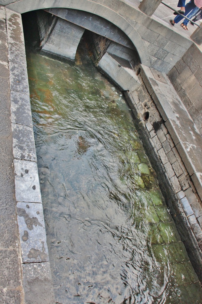 Foto: Plaza del Duomo - Catania (Sicily), Italia
