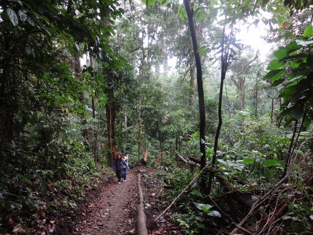 Foto: cendero - Puyo (Pastaza), Ecuador