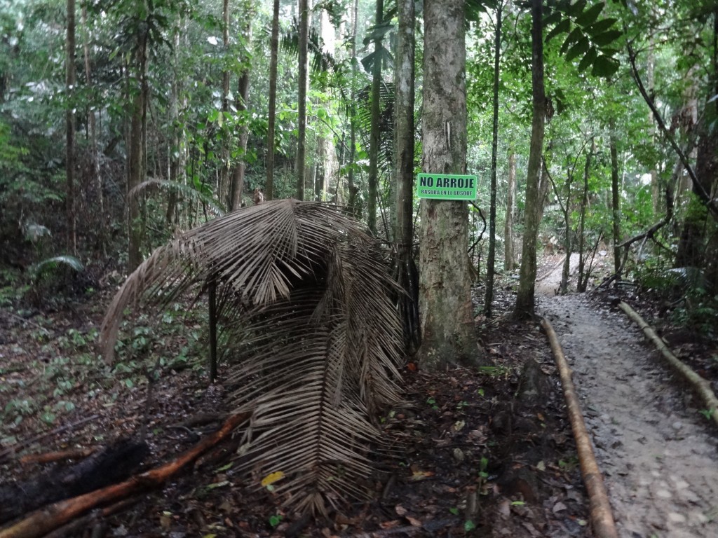 Foto: cendero - Puyo (Pastaza), Ecuador