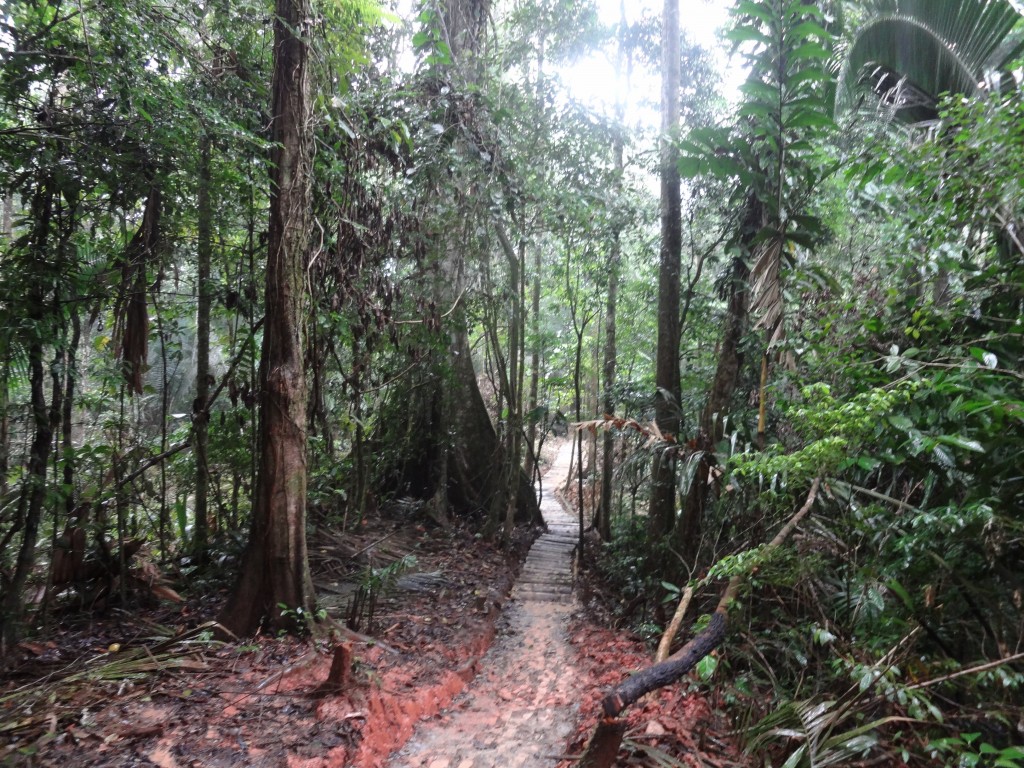 Foto: cendero - Puyo (Pastaza), Ecuador