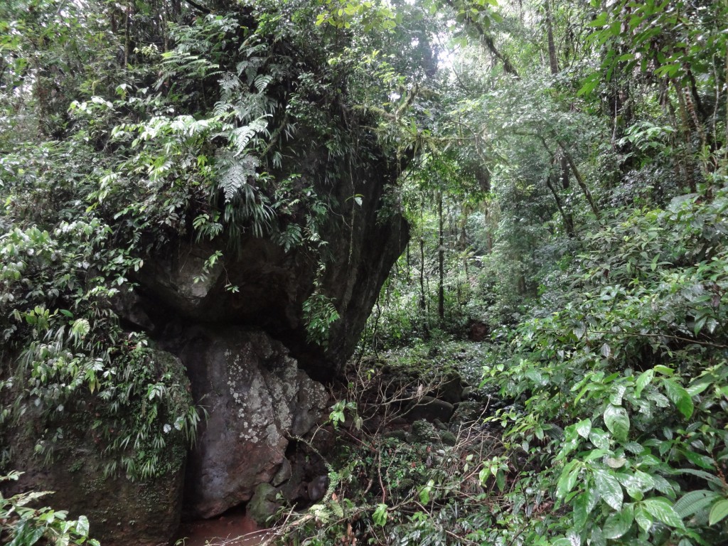 Foto: Piedra - Puyo (Pastaza), Ecuador