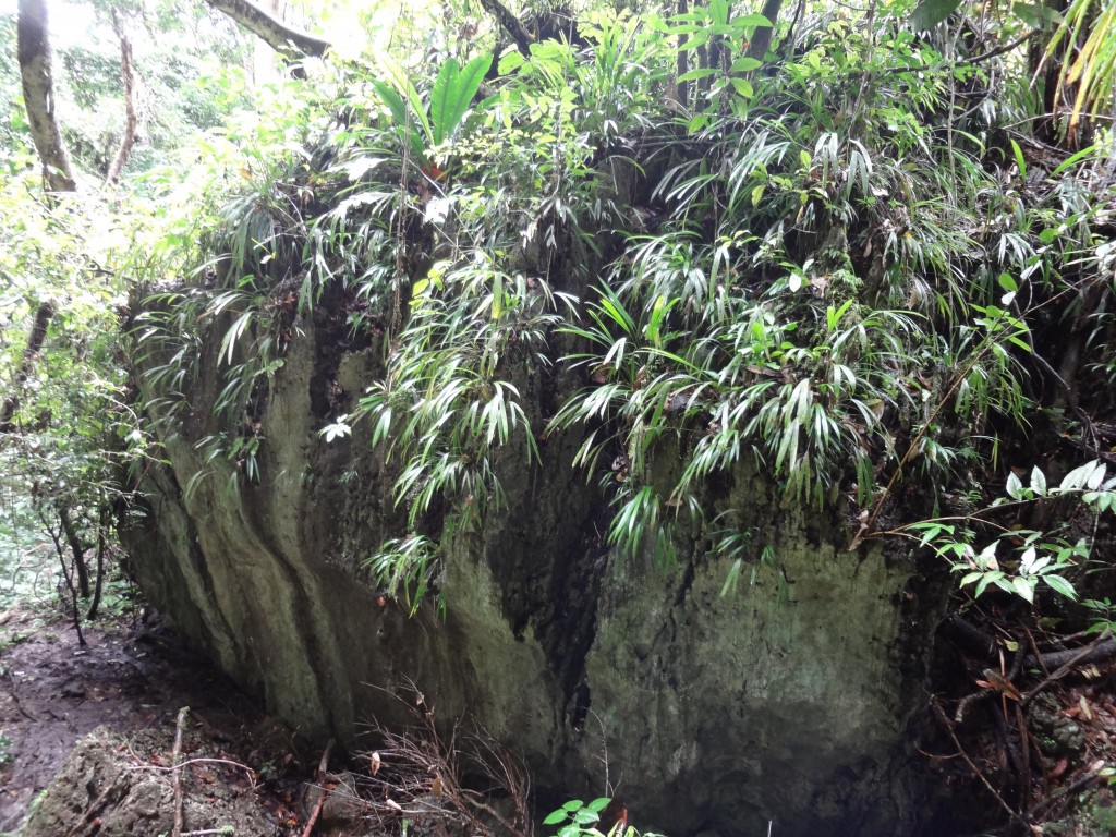 Foto: Piedra - Puyo (Pastaza), Ecuador