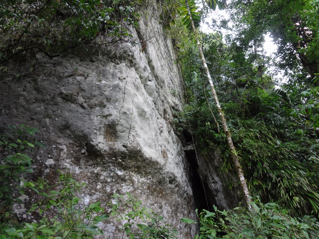 Foto: Entrada a la cueva - Puyo (Pastaza), Ecuador