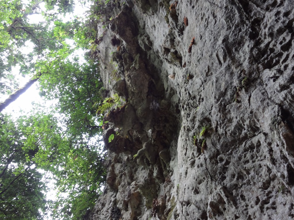 Foto: roca - Puyo (Pastaza), Ecuador