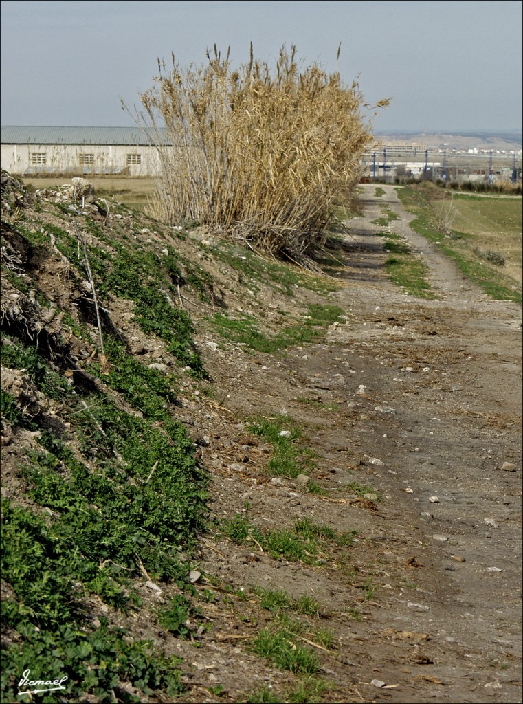 Foto: 60210-05 TRAYECTO CRUCE CANAL - Zaragoza (Aragón), España