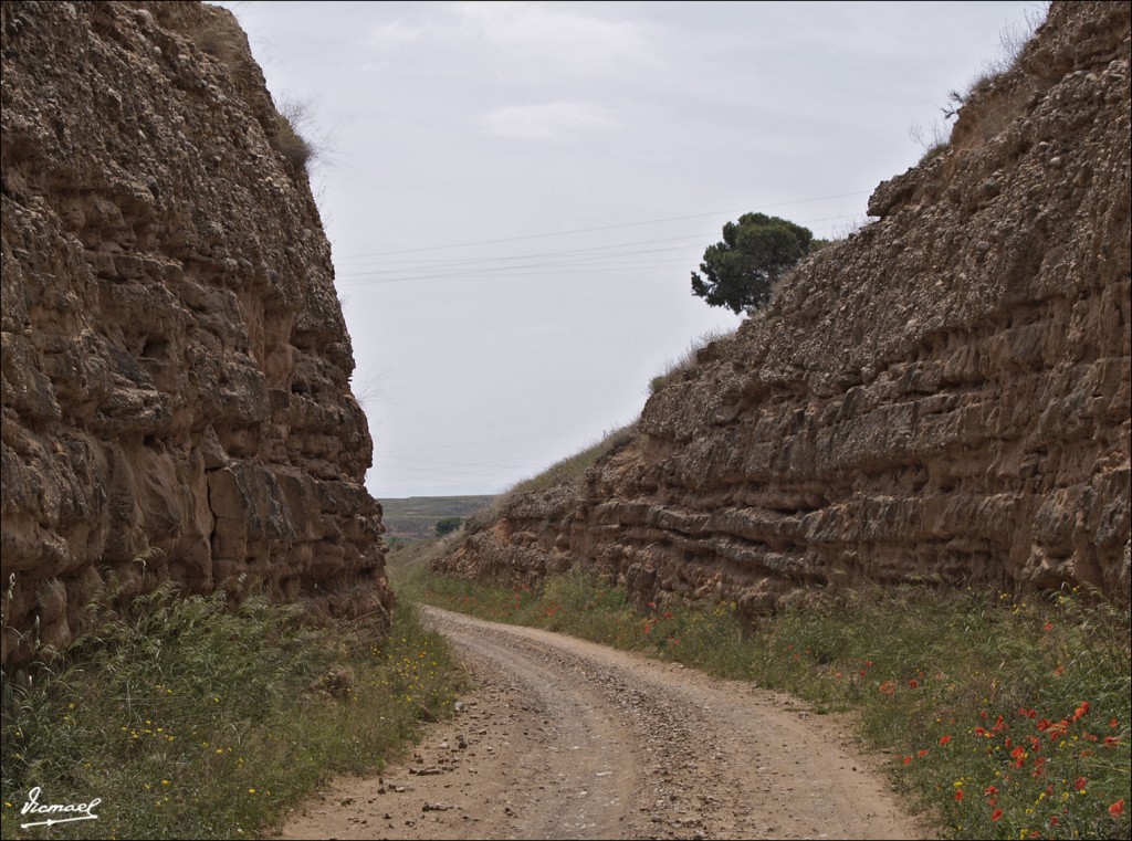 Foto: 60514-057 BELCHITE TRINCHERA PUENTE - Belchite (Zaragoza), España
