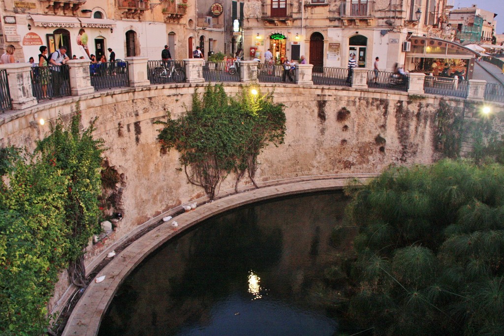 Foto: Fuente Aretusa - Siracusa (Ortigia) (Sicily), Italia