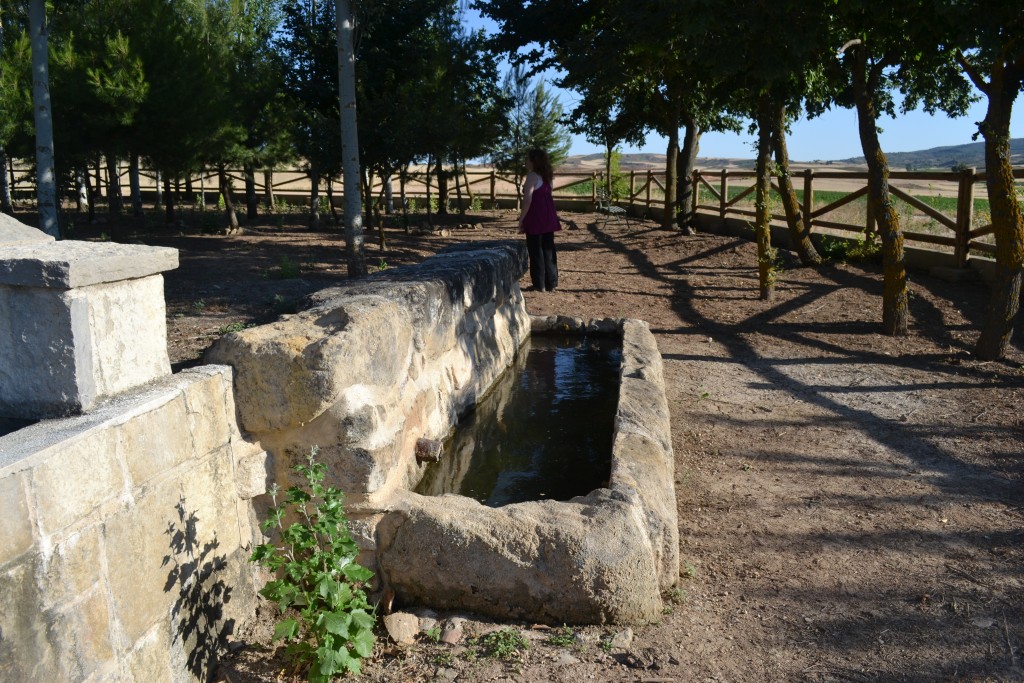 Foto: FUENTE DEL OLMO - Mazarulleque (Cuenca), España