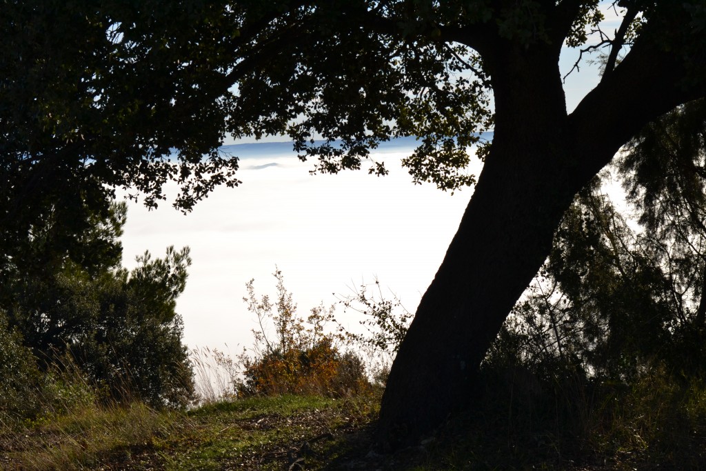 Foto: Puerto - Mazarulleque (Cuenca), España