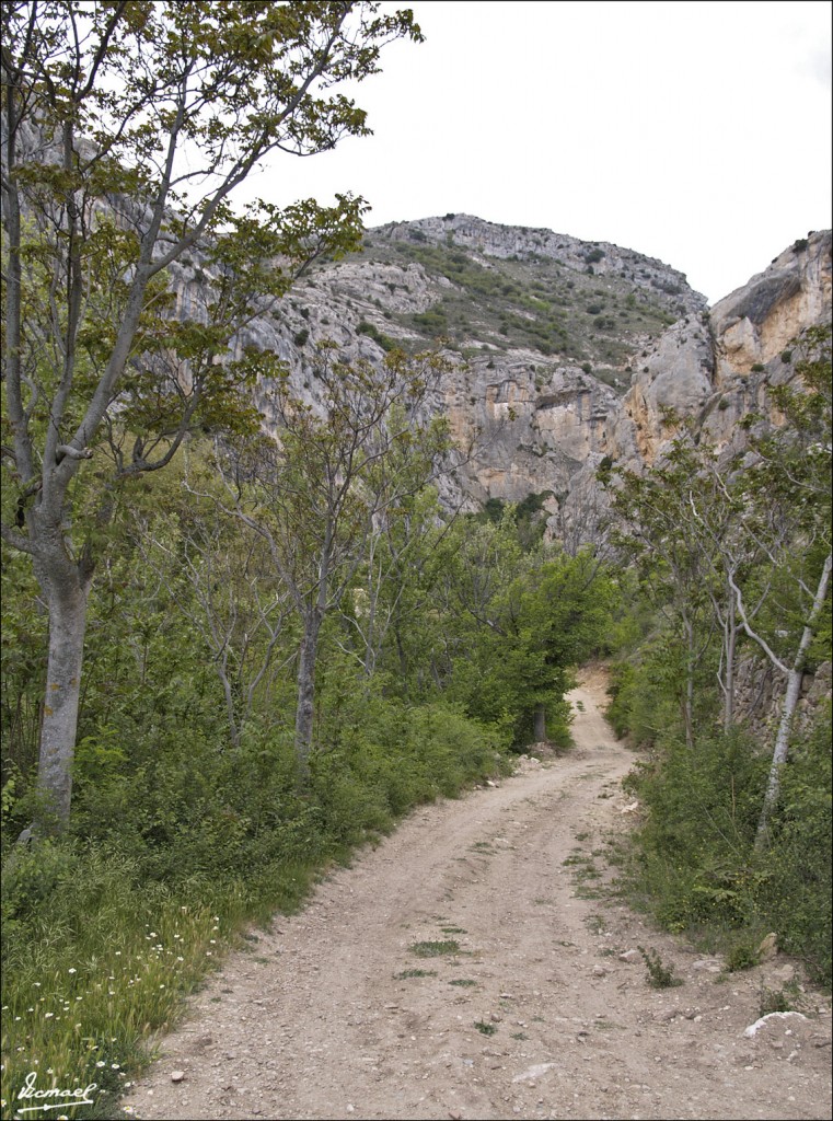 Foto: 60514-135 BAÑOS DE SEGURA - Segura De Baños (Teruel), España