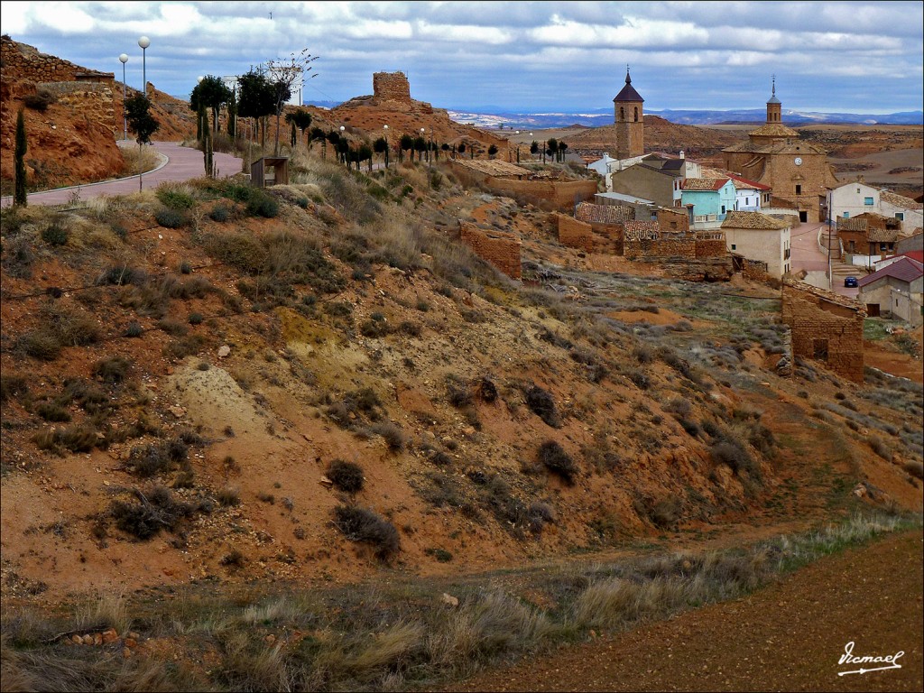 Foto: 111204-27 PALMA TORREHERMO - Torrehermosa (Zaragoza), España
