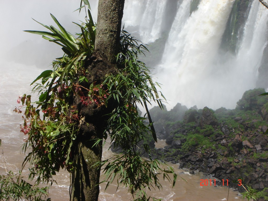 Foto de Iguazú (Misiones), Argentina