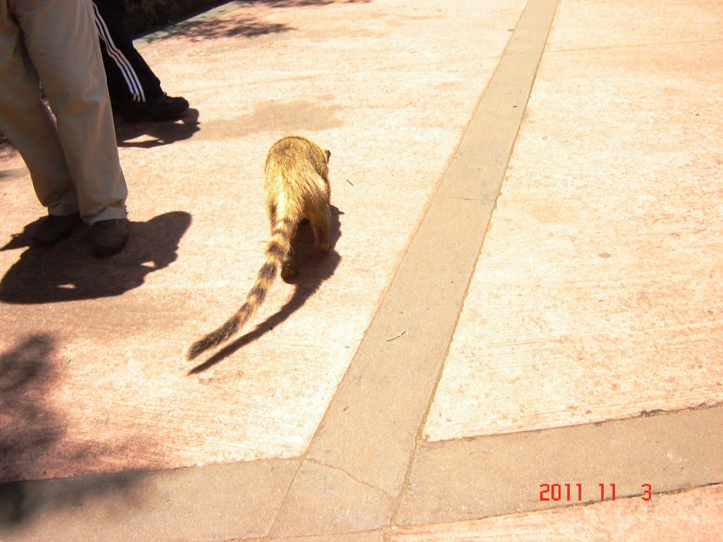 Foto: Cataratas del Iguazú. - Iguazú (Misiones), Argentina