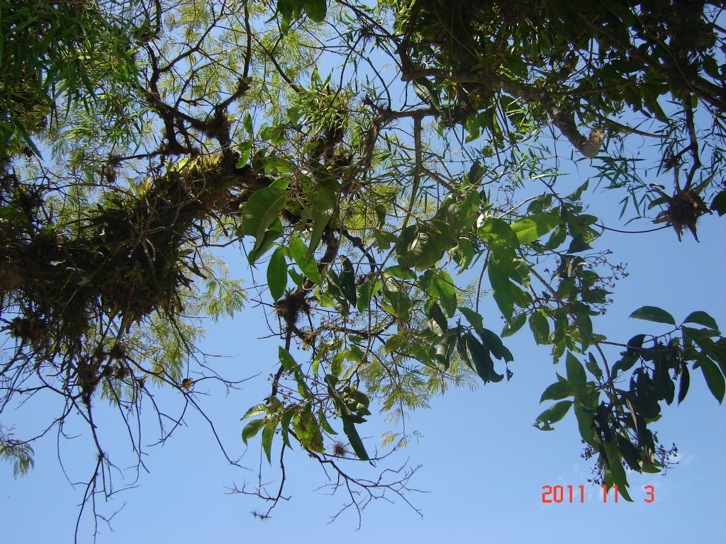 Foto: Cataratas del Iguazú. - Iguazú (Misiones), Argentina