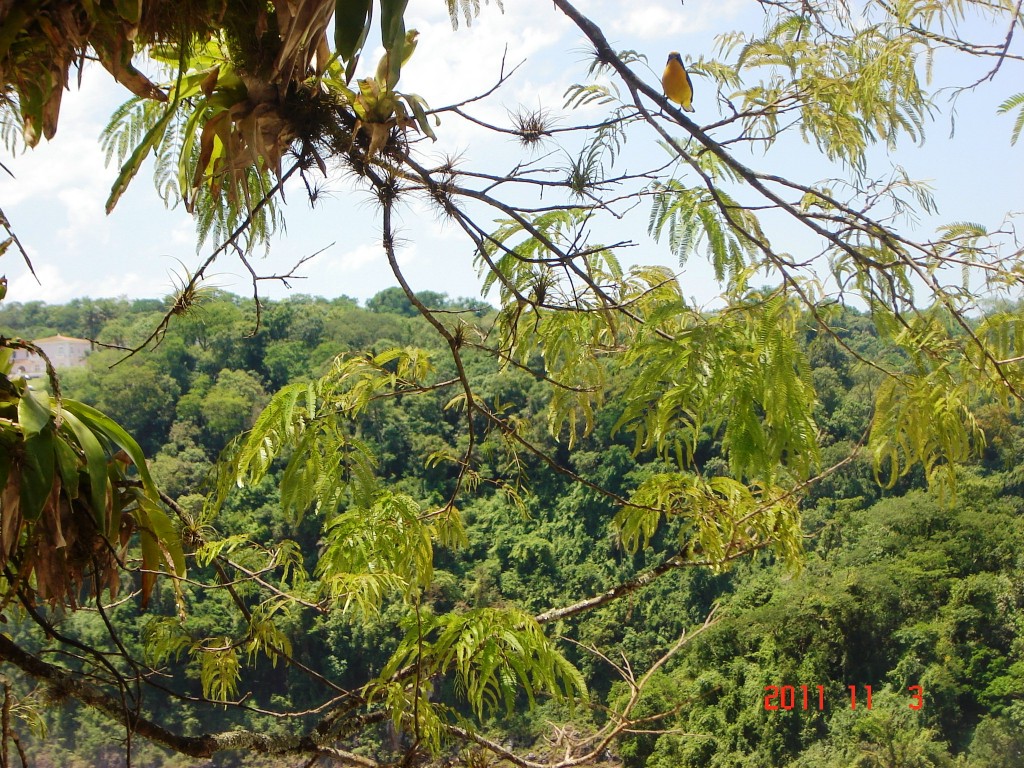 Foto: Cataratas del Iguazú. - Iguazú (Misiones), Argentina