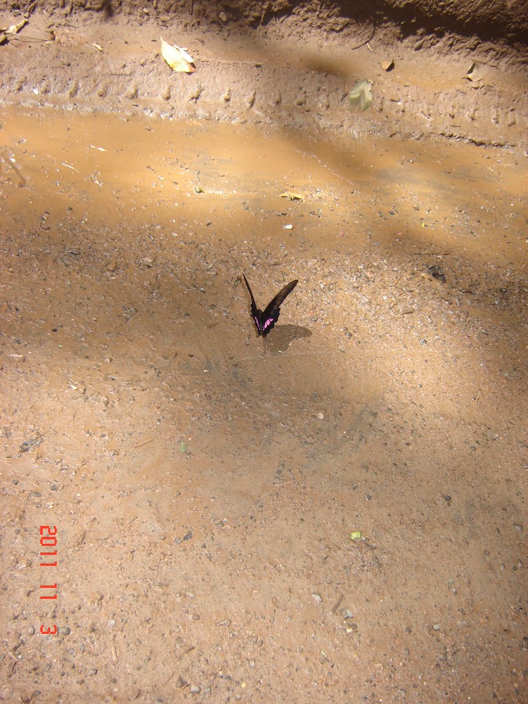 Foto: Cataratas del Iguazú. - Iguazú (Misiones), Argentina