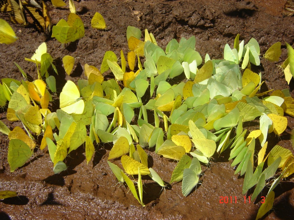 Foto: Cataratas del Iguazú. - Iguazú (Misiones), Argentina