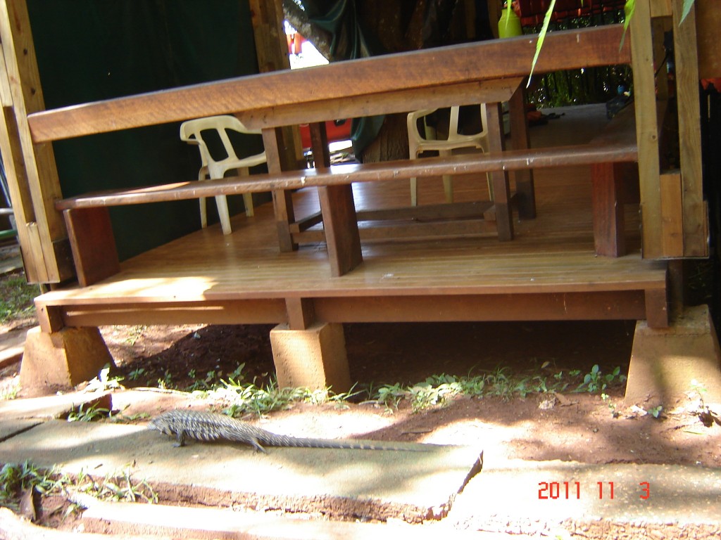 Foto: Cataratas del Iguazú. - Iguazú (Misiones), Argentina