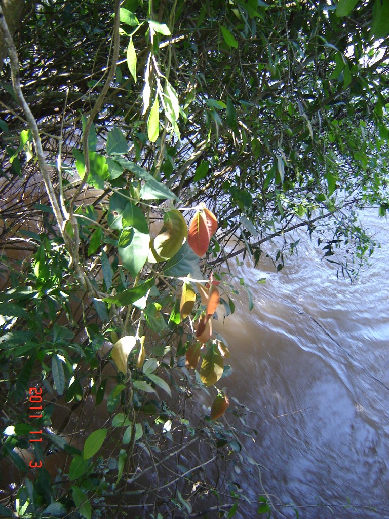Foto: Cataratas del Iguazú. - Iguazú (Misiones), Argentina