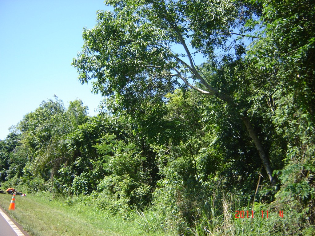 Foto: Cataratas del Iguazú. - Iguazú (Misiones), Argentina