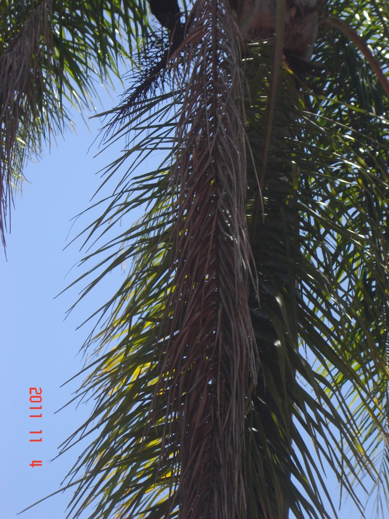 Foto: Cataratas del Iguazú - Iguazú (Misiones), Argentina