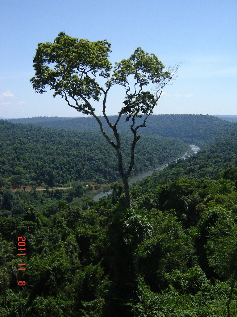 Foto: Saltos del Moconá - El Soberbio (Misiones), Argentina