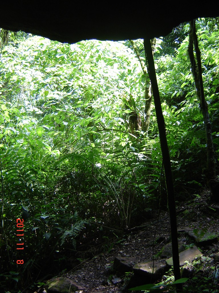 Foto: Caminata por la selva. - El Soberbio (Misiones), Argentina