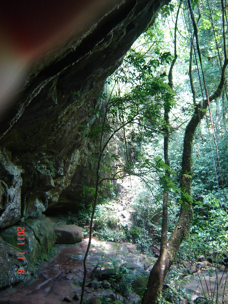 Foto: Caminata por la selva. - El Soberbio (Misiones), Argentina