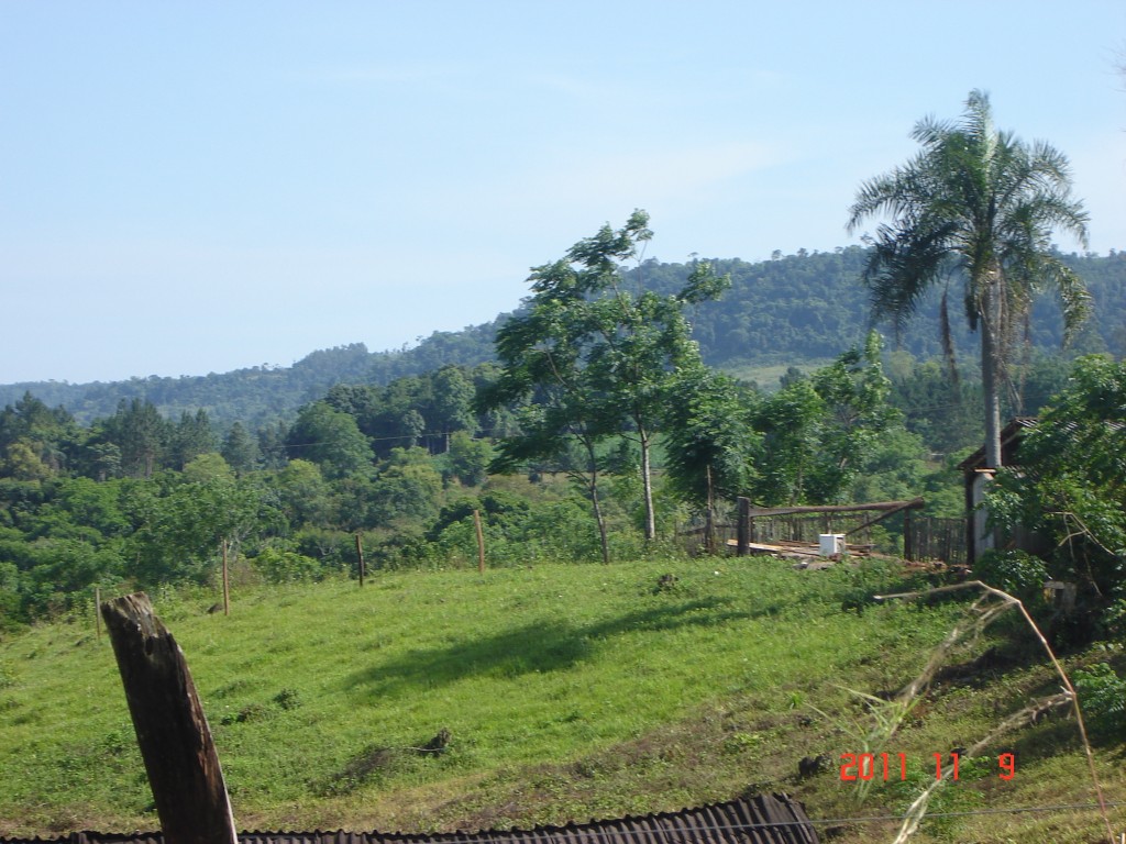 Foto: Paisaje misionero - El Soberbio (Misiones), Argentina