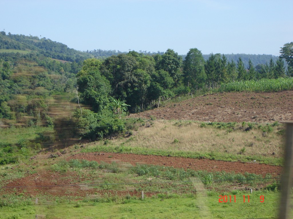 Foto de El Soberbio (Misiones), Argentina