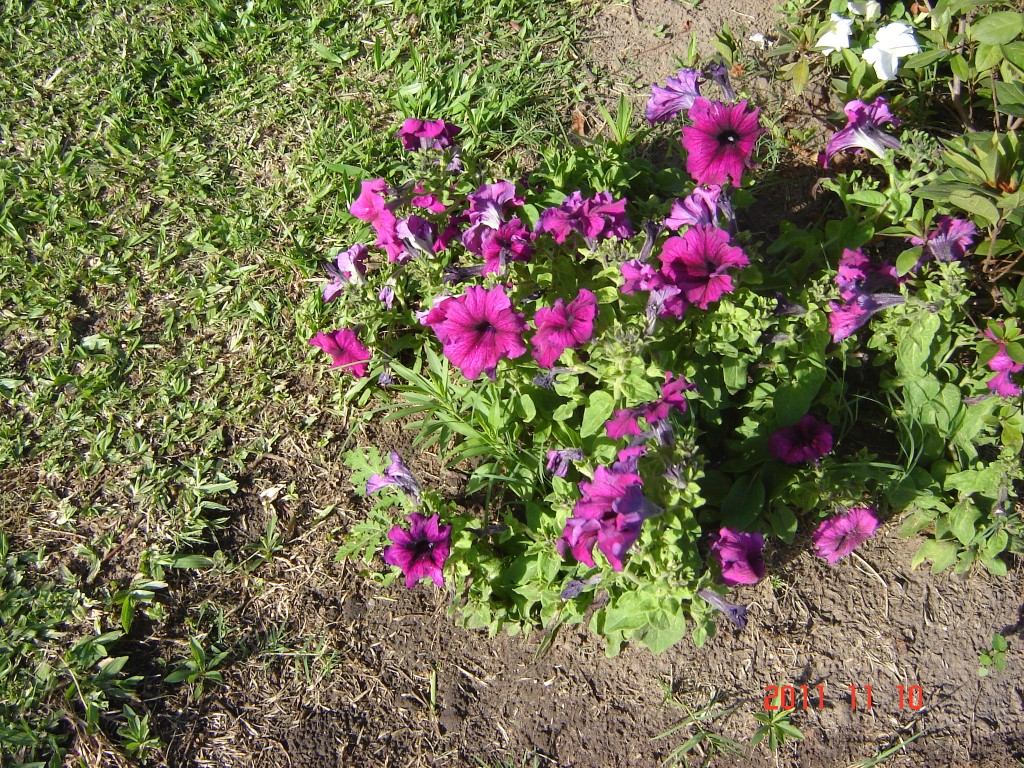 Foto: Termas - San José (Entre Ríos), Argentina