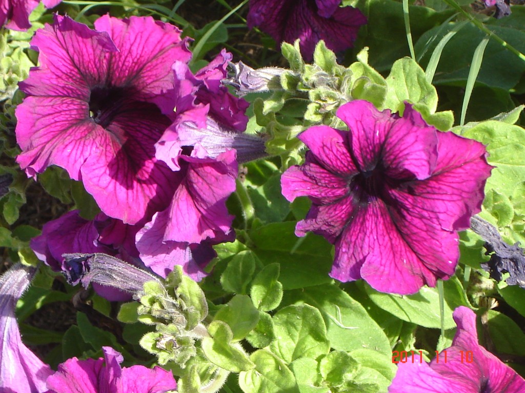 Foto: Termas - San José (Entre Ríos), Argentina