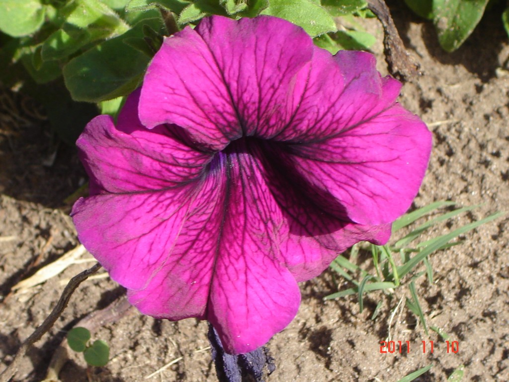Foto: Termas - San José (Entre Ríos), Argentina