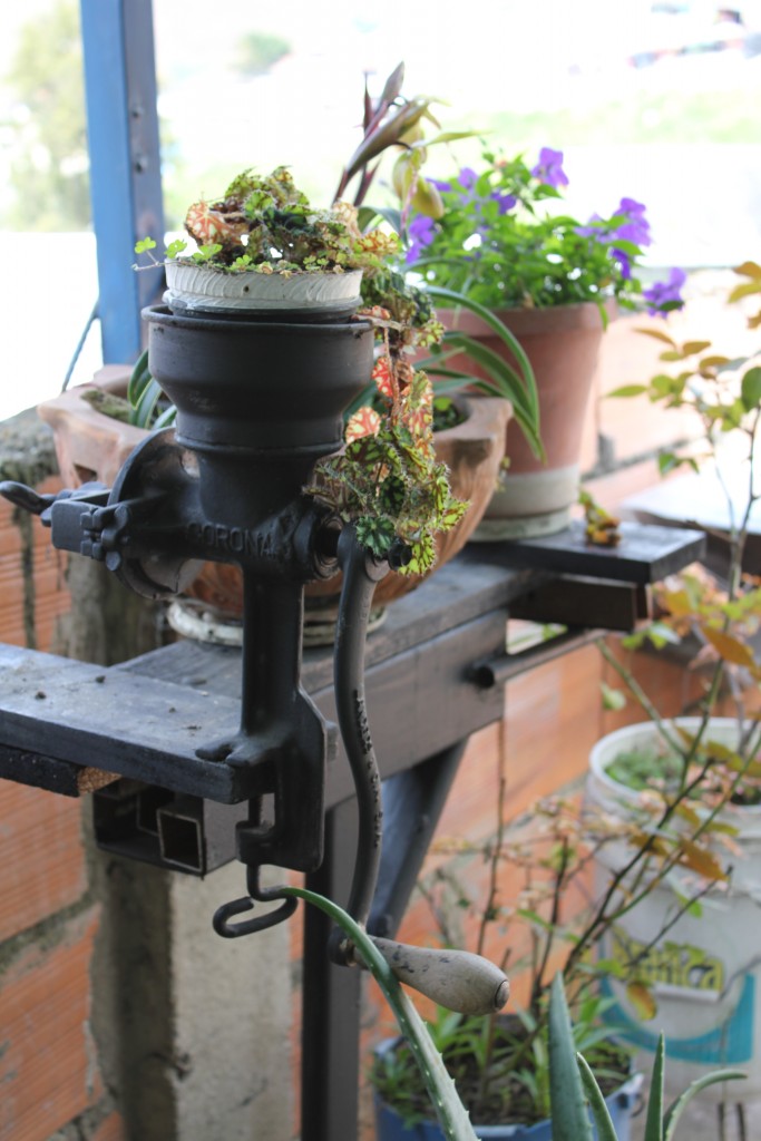 Foto: Molino - La Grita Tachira, Venezuela