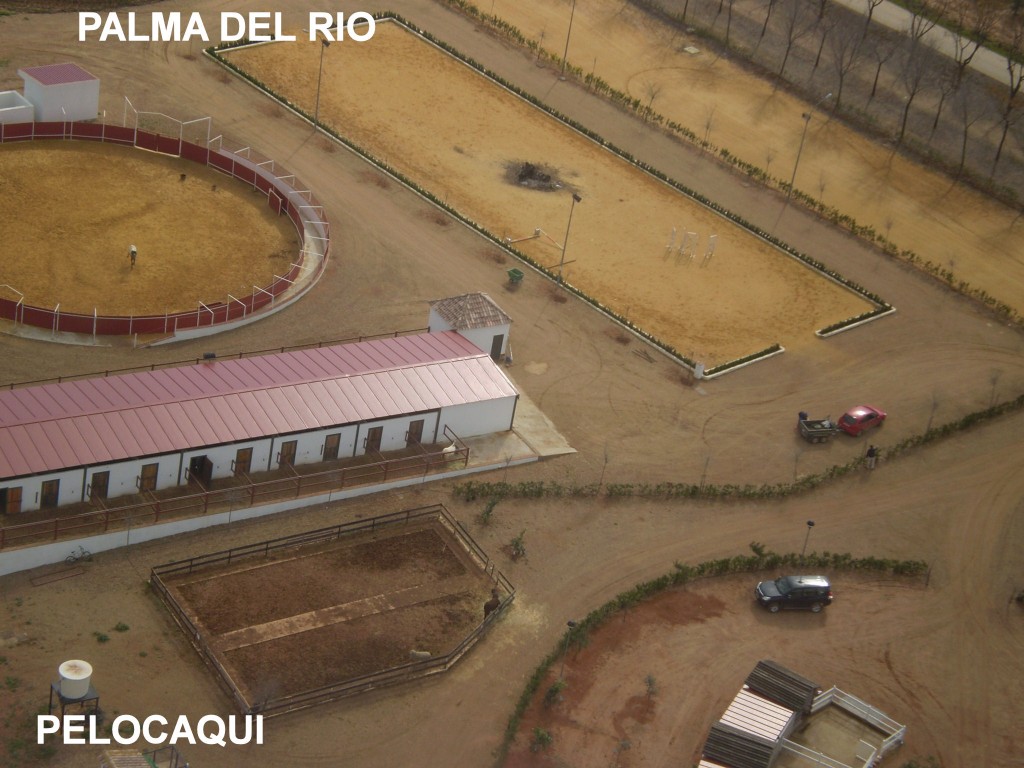 Foto de Palma Del Rio (Córdoba), España