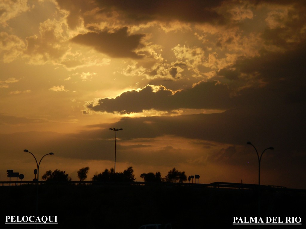 Foto de Palma Del Rio (Córdoba), España