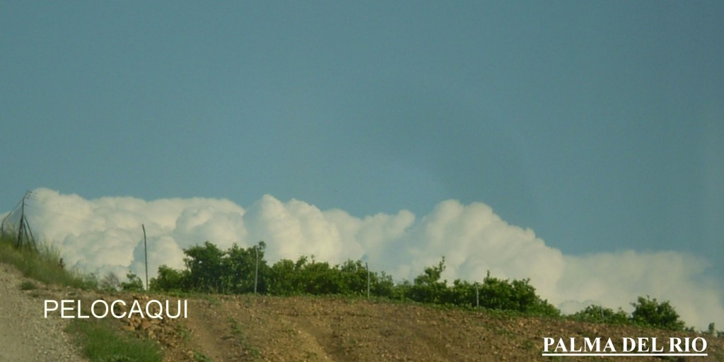 Foto de Palma Del Rio (Córdoba), España