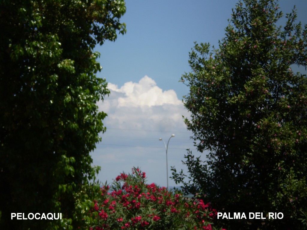 Foto de Palma Del Rio (Córdoba), España