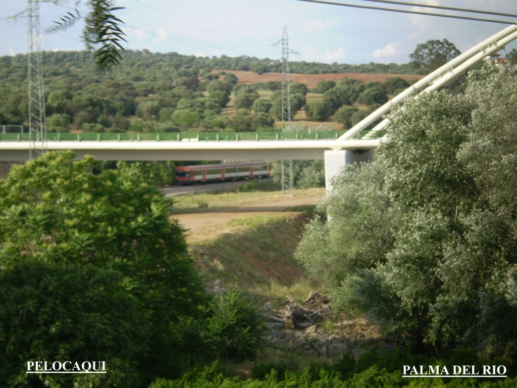 Foto de Palma Del Rio (Córdoba), España