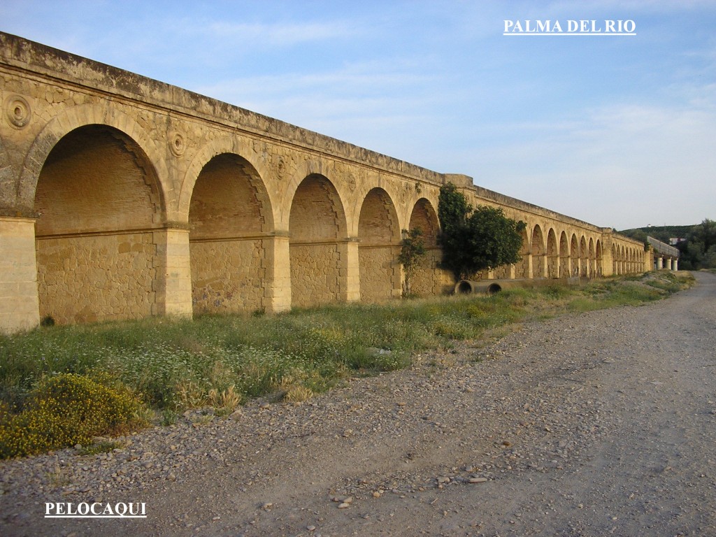 Foto de Palma Del Rio (Córdoba), España