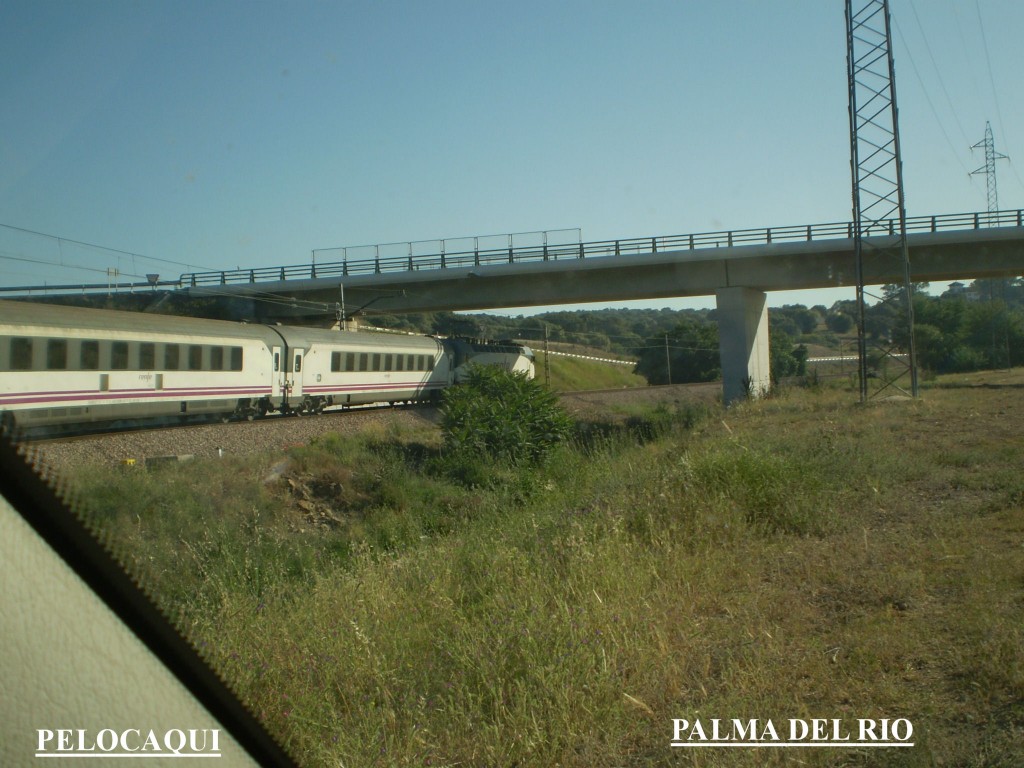 Foto de Palma Del Rio (Córdoba), España