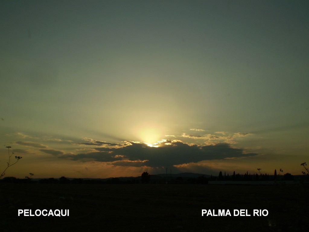 Foto de Palma Del Rio (Córdoba), España