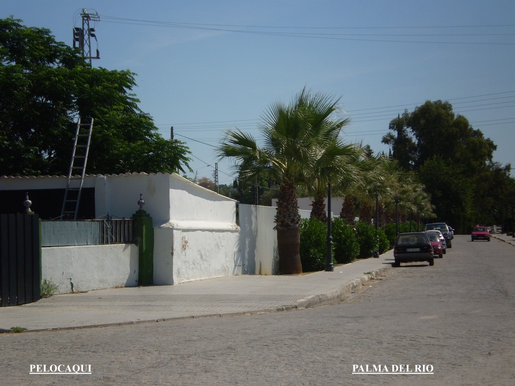 Foto de Palma Del Rio (Córdoba), España