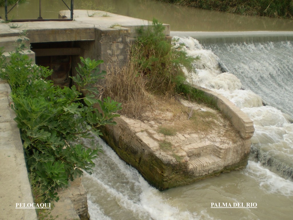 Foto de Palma Del Rio (Córdoba), España