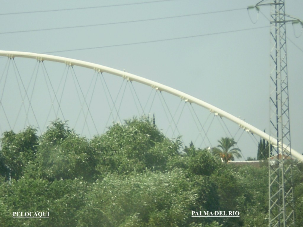 Foto de Palma Del Rio (Córdoba), España