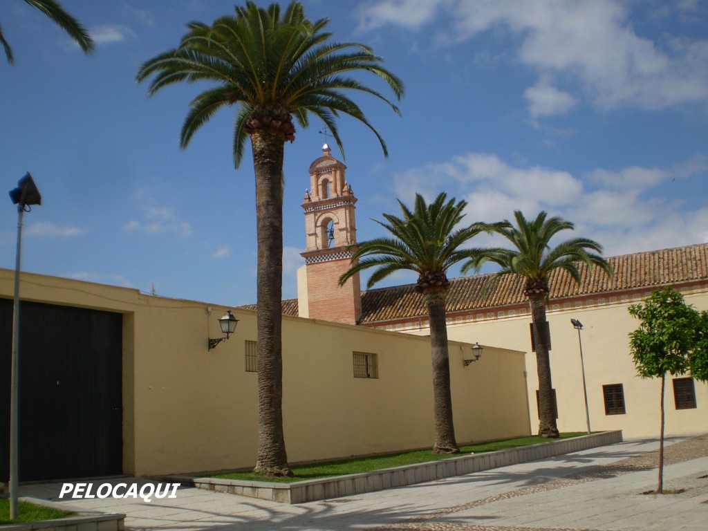 Foto de Palma Del Rio (Córdoba), España