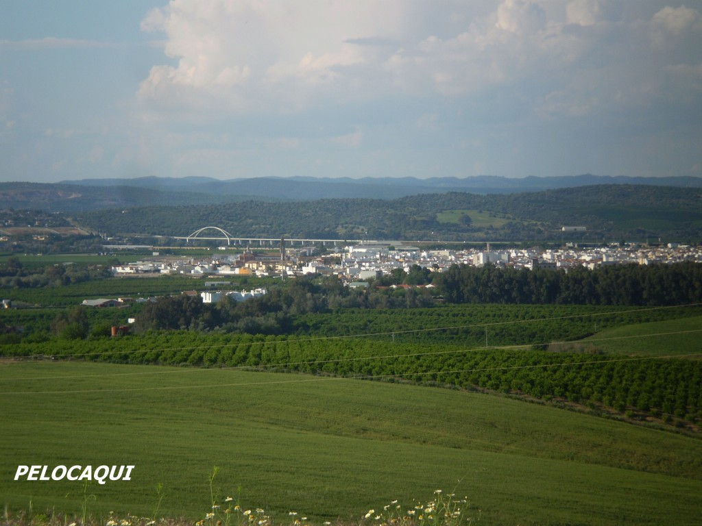Foto de Palma Del Rio (Córdoba), España