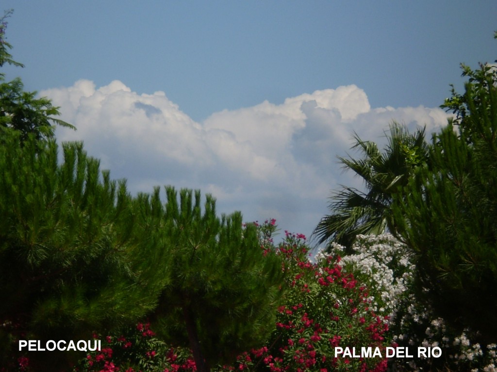 Foto de Palma Del Rio (Córdoba), España